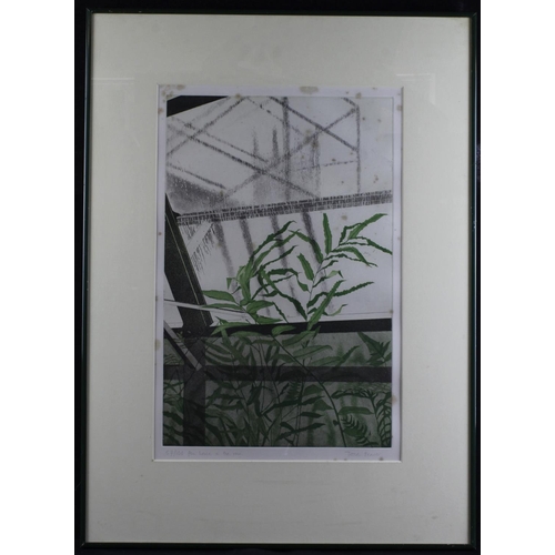 456 - Beaver, Tessa (British b.1932) Limited edition screenprint titled Fern House in The Rain. Signed in ... 