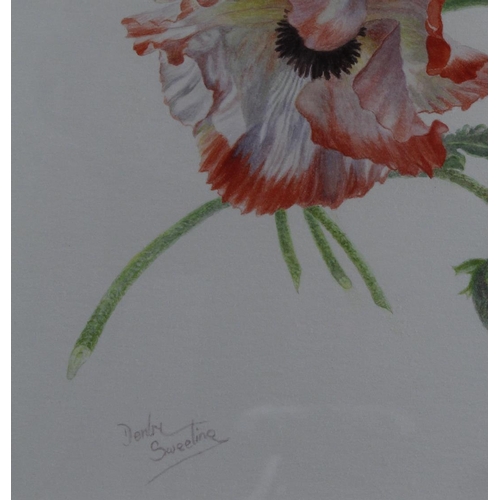 530 - Sweeting, Denby (British, 1936-2020) Watercolour illustration, titled (verso) Flamenco, Papaver Orie... 