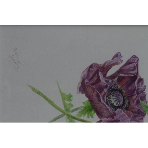 531 - Sweeting, Denby (British, 1936-2020) Watercolour illustration, titled (verso) Patty's Plum, Papaver ... 