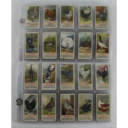 2515 - Ogdens sets in plastics - Fowls Pigeons & Dogs 1904, British Birds 1905, Applied Electricity 1928, B... 