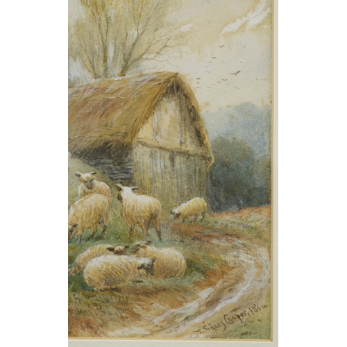 244 - Cooper, Thomas Sidney RA (British 1803-1902) depicting sheep resting by a thatched barn. Signed T. S... 