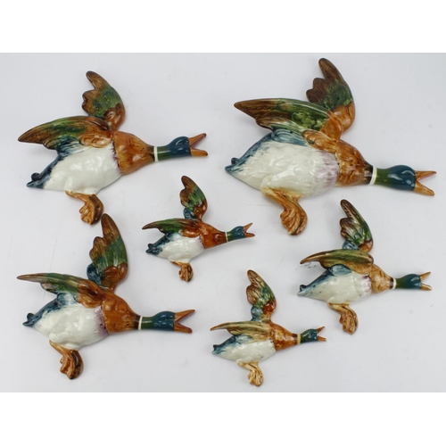 589 - Beswick. Six Beswick mallard duck wall plaques, comprising 596-0, 596-1, 596-2, 596-3 & 596-4 (x 2)