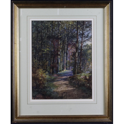 183 - G E Wright. Mixed media of a woodland scene. Signed lower right. Image measures approx 30cm x 23cm. ... 