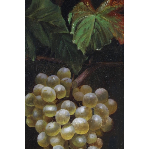 840 - Bunch of grapes. Manner of Joaquina Serrano y Bartolome. Oil on canvas. Unsigned. Canvas measures ap... 