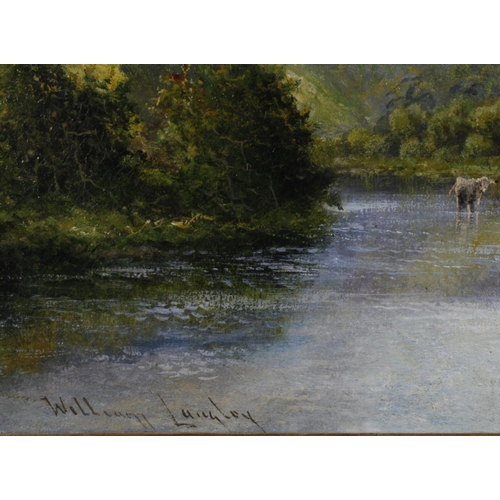 865 - Langley, William (British 1852-1922) Oil on canvas. Highland cattle watering in a lake. Signed lower... 