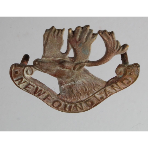 435 - Badge Newfoundland Regiment WW1 small cap badge.