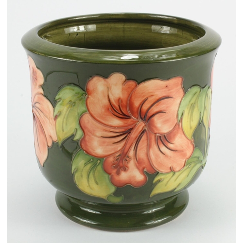 1138 - Moorcroft green Hibiscus pattern jardinere, height 17cm, diameter 18cm approx.