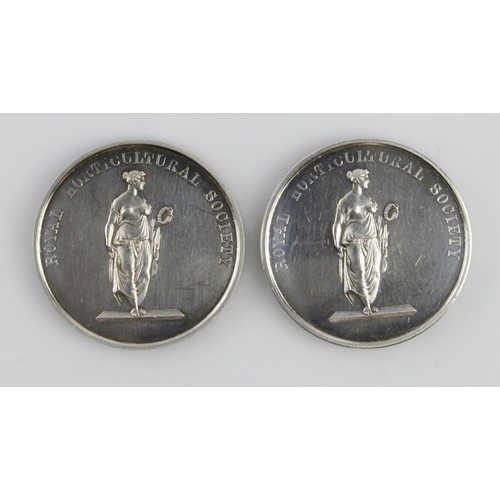 894 - John Lindley (2) unmarked silver Royal Horticultural Society medals to A.G. Weeks Chelsea Show 1958 ... 