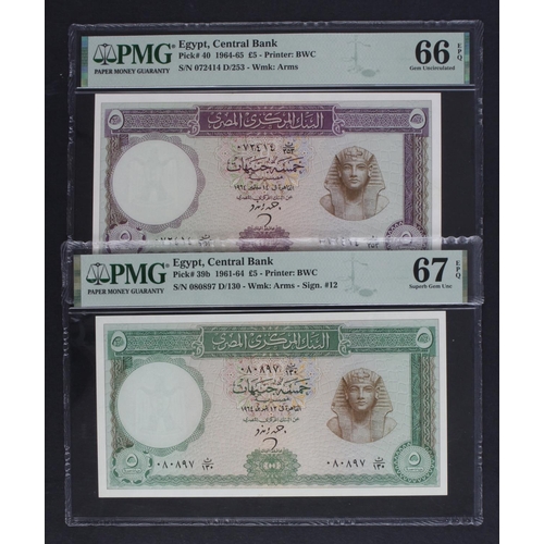 Lot 242       