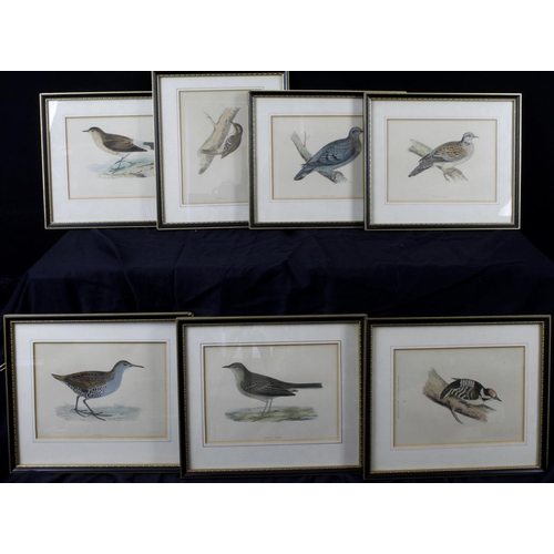 634 - Ornithology interest: After Rev. Francis Morris (1810-1893), A set of seven ornithological coloured ... 