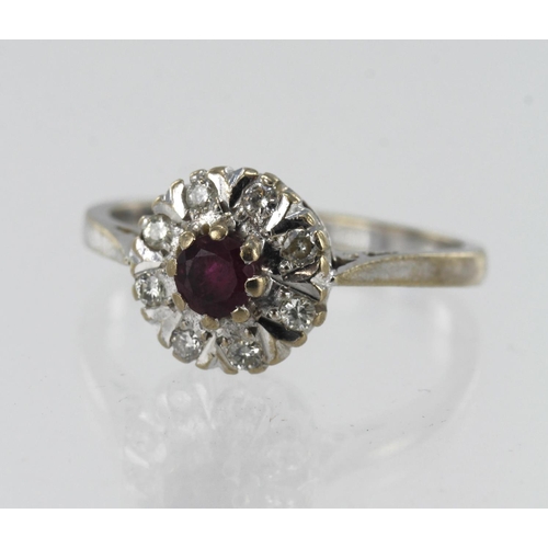 98 - 18ct white gold diamond and ruby cluster ring, one round ruby measures 4mm, surrounded by eight roun... 