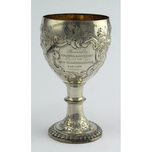 468 - Silver ornately decorated trophy cup, hallmarked 'Sheffield 1852', engraved to side 'Tredegar Cattle... 