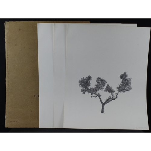 27 - Eduardo Santos Guada - Limited edition portfolio titled Cinco Arboles (Five Trees) Edition no. 115/2... 
