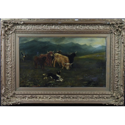 28 - Farmer rounding up Highland cattle with sheepdog. Oil on board. Signed with monogram (TG / HG?) lowe... 