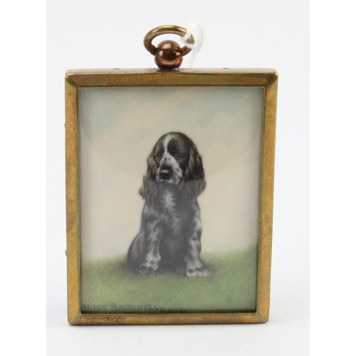 7 - Alice Barnwell (R.M.S). Portrait miniature of a Spaniel dog, signed by artist to lower left, image s... 