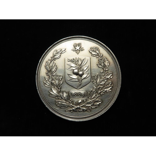 800 - Italian Horticultural Medal, unmarked silver d.43mm, 31.53g: Horticultural Society of Palermo (medal... 