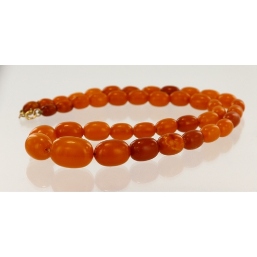 351 - Butterscotch amber graduated single row beaded necklace, largest bead measures 21.5mm x 15.5mm, smal... 