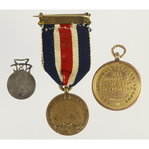 1059 - National Service League Medal in bronze (24mm) with ribbon pin brooch 'N.S.L. for Merit' reverse nam... 