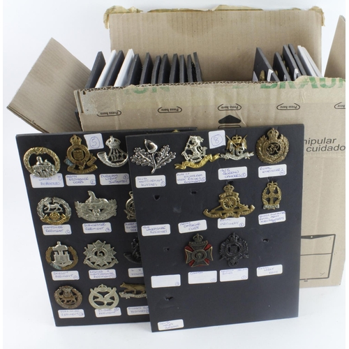 258 - Cap badge collection mounted on several boards English and Scottish mostly, earl to Staybridght (app... 