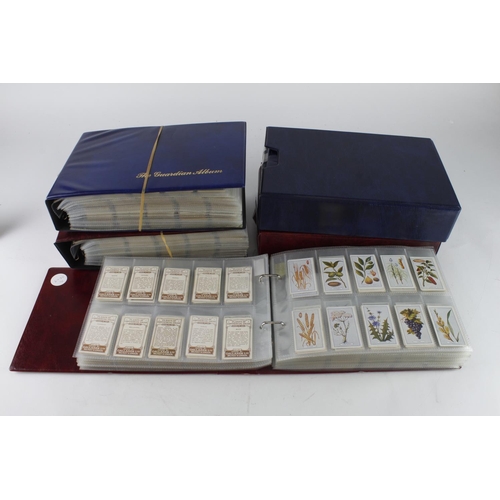 870 - Gallaher, very large quantity contained in 5 modern albums, approx 24 complete sets cat value approx... 