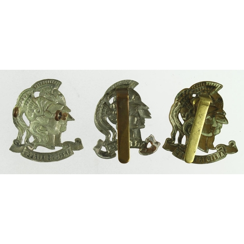 268 - Cap badges - Artist Rifles, three different