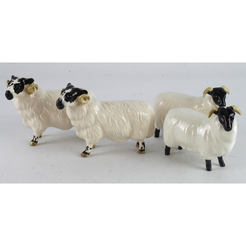 356 - Beswick. Four Beswick figures, comprising two black faced rams & two black faced sheep, tallest 8.5c... 