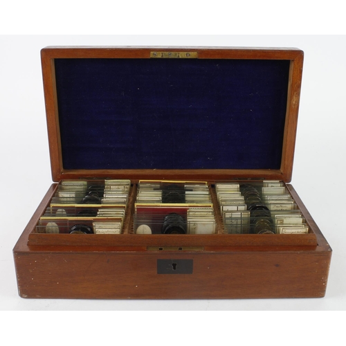 510 - Microscope slides. A mahogany case containing approximately 110 glass slides over two layers, mostly... 