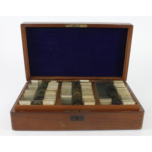 511 - Microscope slides. A mahogany case containing approximately 60 glass slides over two layers, mostly ... 