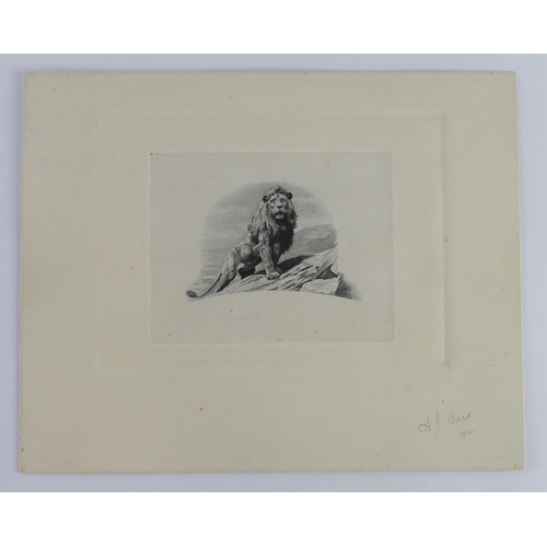 896 - Southern Rhodesia Vignette Engraving of Lion by Harold J Bard handsigned and dated 1930, this design... 