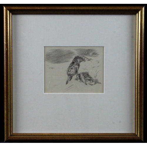 902 - Soper, Eileen Alice R.M.S. (1905-1990) Pencil sketch titled (verso) Hare Study III. Image measures a... 