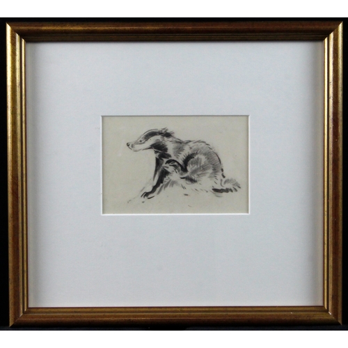 905 - Soper, Eileen Alice R.M.S. (1905-1990) Pencil/charcoal sketch titled (verso)Badger Cub scratching. I... 