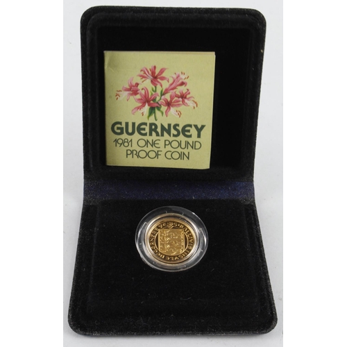 717 - Guernsey One Pound 1981 Proof FDC boxed as issued