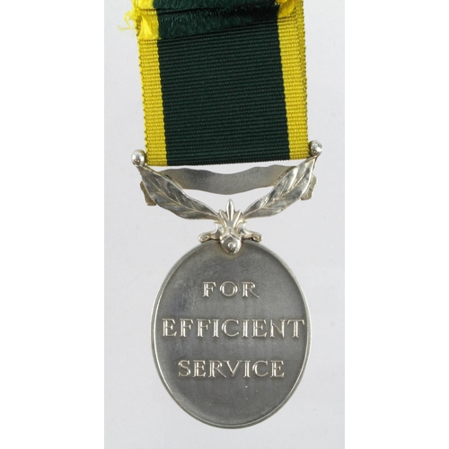 676 - Efficiency Medal GVI with Territorial clasp (4125696 Cpl G Egerton REME)