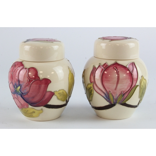 322 - Moorcroft. Two Moorcroft 'Pink Magnolia' pattern ginger jars (with lids), makers marks to base of ea... 