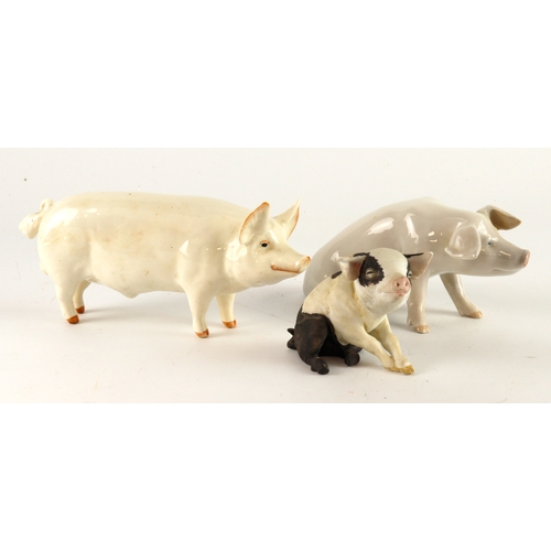 325 - Pigs. Three various pigs, including Beswick CH Wall Champion Boy, Royal Copenhagen pig (no. 1400) & ... 