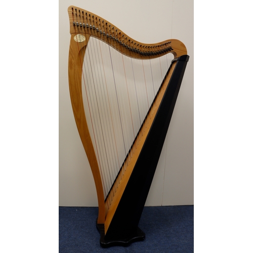 408 - Harp. A thirty-four string harp (Ravenna 34), made by Dusty Strings (USA), makers label to side, hei... 