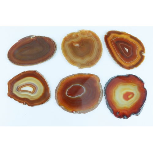 448 - Agate. Six slices of polished Agate, largest diameter 11.5cm approx.