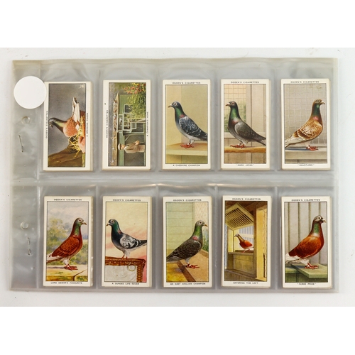 641 - Ogden - Racing Pigeons, complete set in pages, G - VG cat value £200