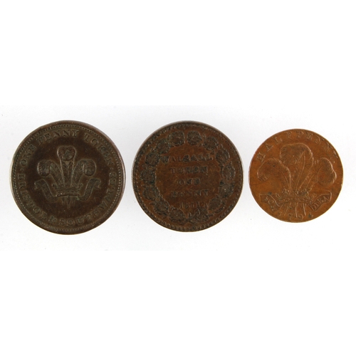 1027 - Tokens (3): Bristol Penny 1811 VF, Walsall Penny 1811 GF, and Brighton edge Prince of Wales Halfpenn... 