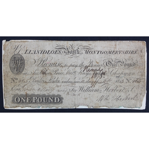 280 - Llanidloes Bank, Montgomeryshire, 1 Pound dated 1813, series no. 465, for William Herbert & Co. (Out... 