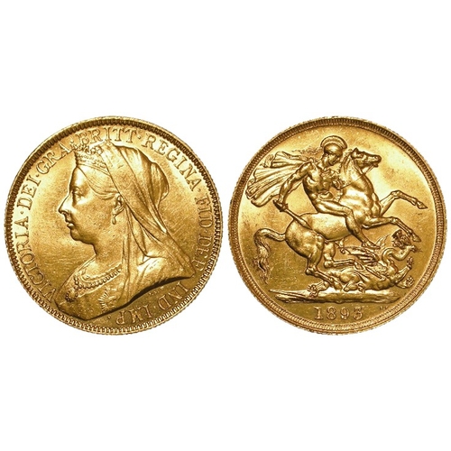 Lot 51        