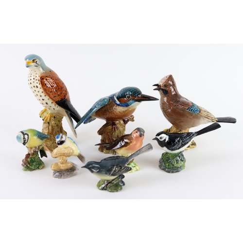 48 - Beswick. A collection of twelve Beswick birds (some boxed)