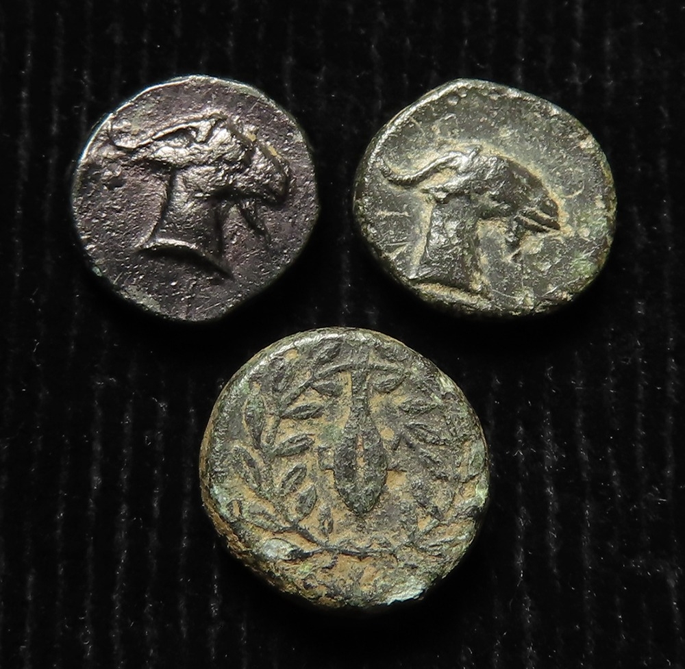 Ancient Greek (3) bronze coins of Aeolis: 2x Aigai 4th-3rdC BC AE9, hd ...