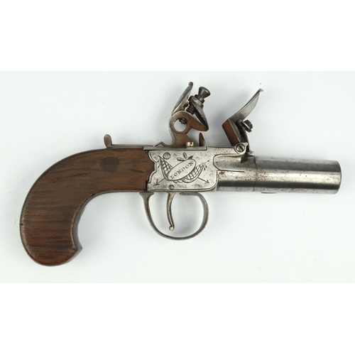 Lot 20        