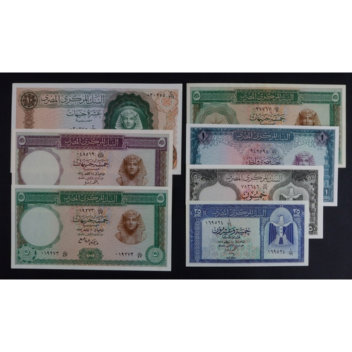 Lot 555       