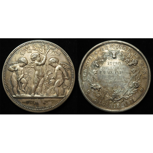Lot 741       
