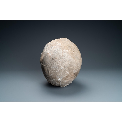 72 - A large marble head of a prelate, Italy, 17th C.Dim.: ca. 37 x 27 x 24,5 cm  Provenance: - The Davio... 