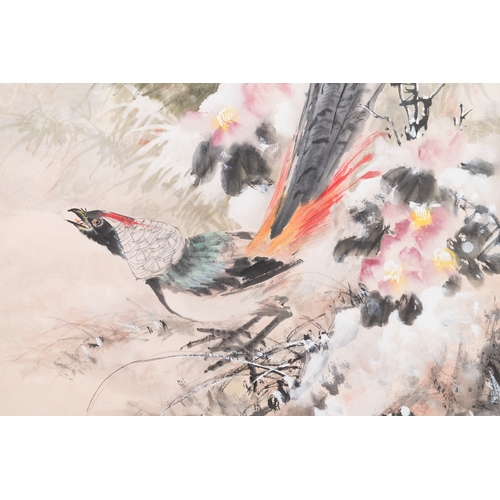 412 - Xu Yunshu å¾é²å (1947- ): 'Pheasant', ink and colour on paperDim.: 204 x 62,5 cm (the scroll)Dim... 