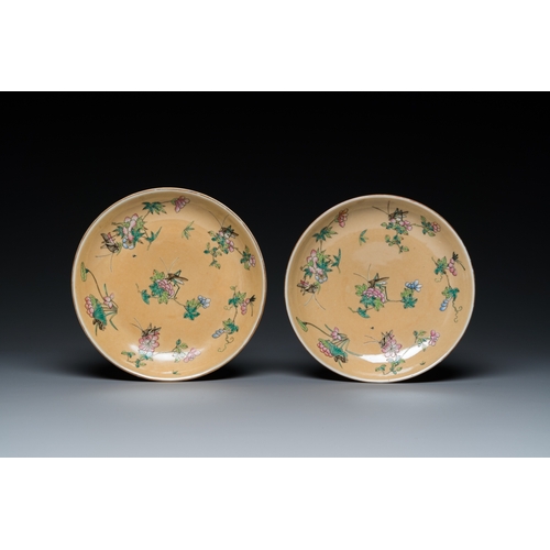 480 - A pair of Chinese cafe-au-lait-ground famille rose 'grasshopper' plates, Daoguang mark and of the pe... 