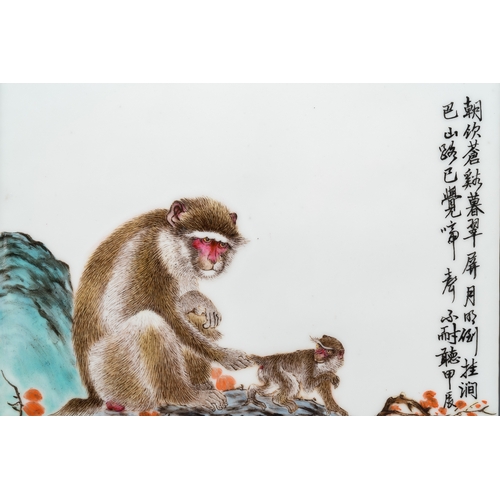 496 - A Chinese famille rose plaque with monkeys, Bi Yuanming ç¢æ·µæ mark, dated 1964Dim.: 32 x 21,5 cm... 